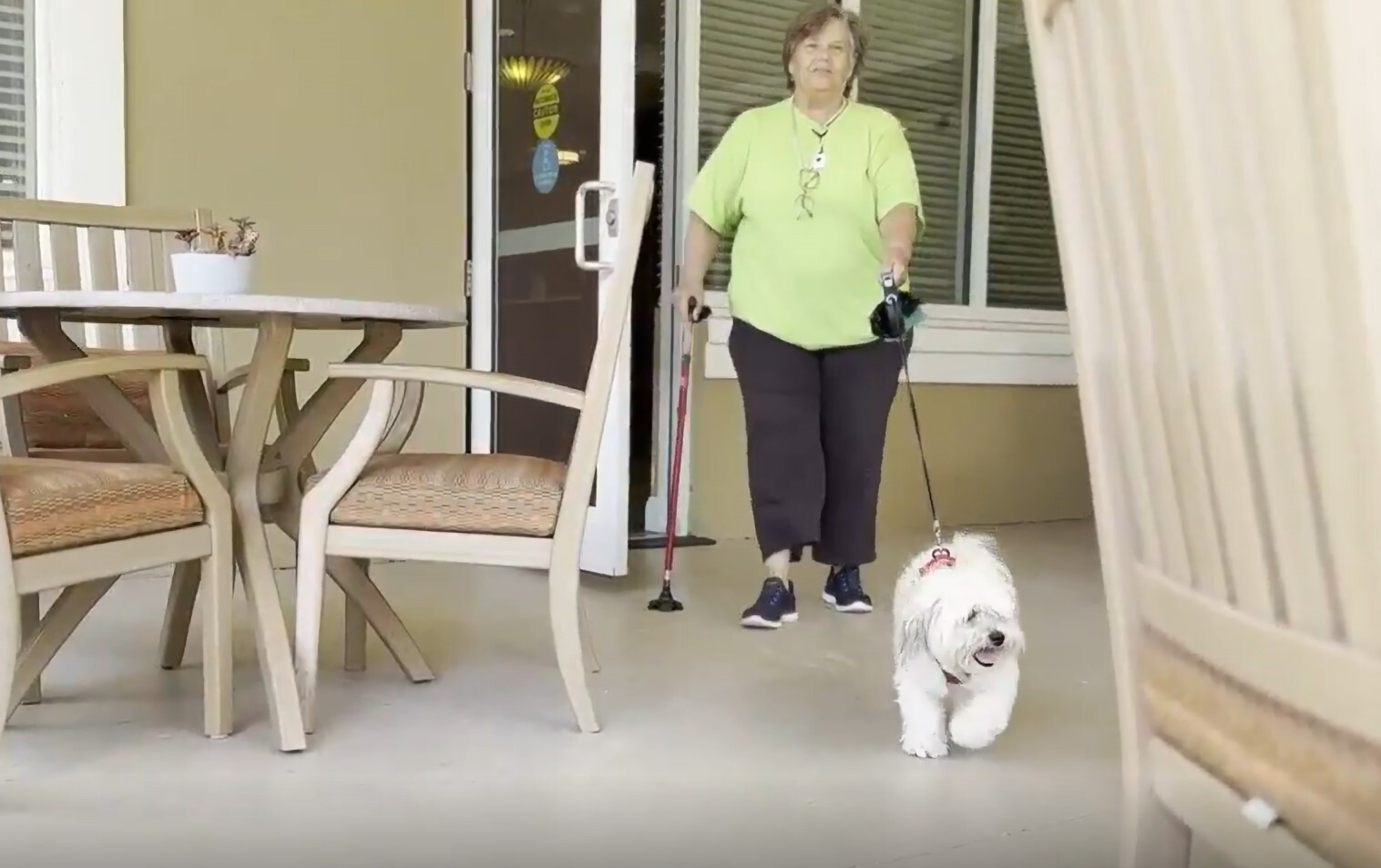 dvsb thumbnail dog