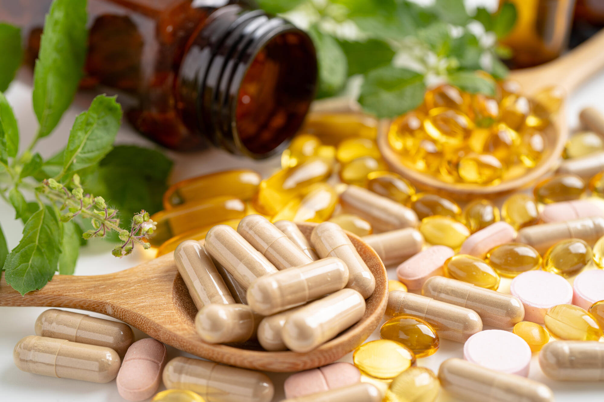Beat Fatigue With Herbal Powerhouses